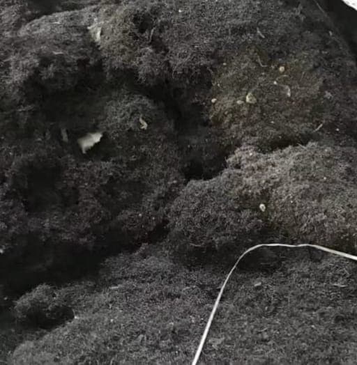 Grinding Dust - Semicon Steel And Alloys